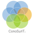 cropped-Logo-ConoSurIT-Color-opc2.png